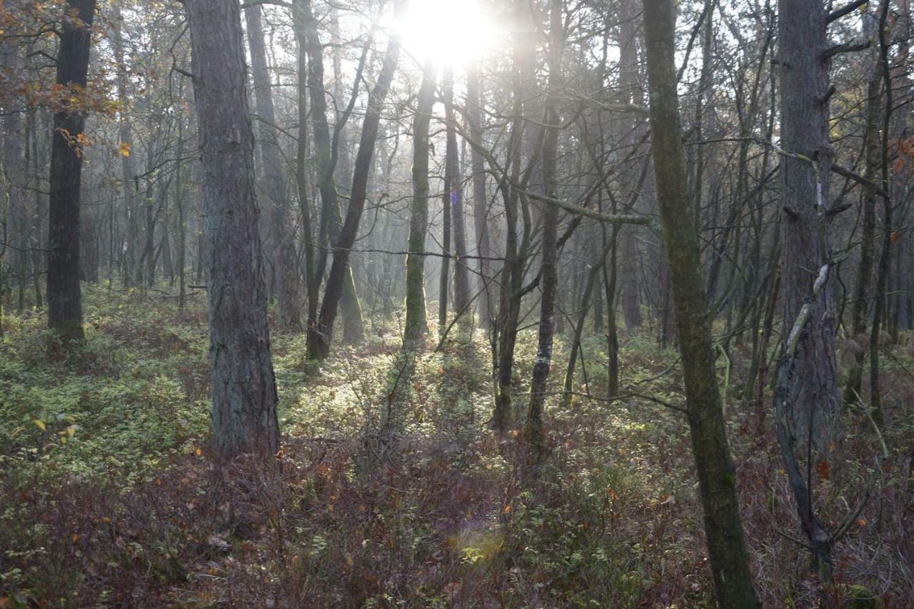 Boshuis Turquoise / smaakvol genieten op de Veluwe Hoenderloo Buitenkant foto