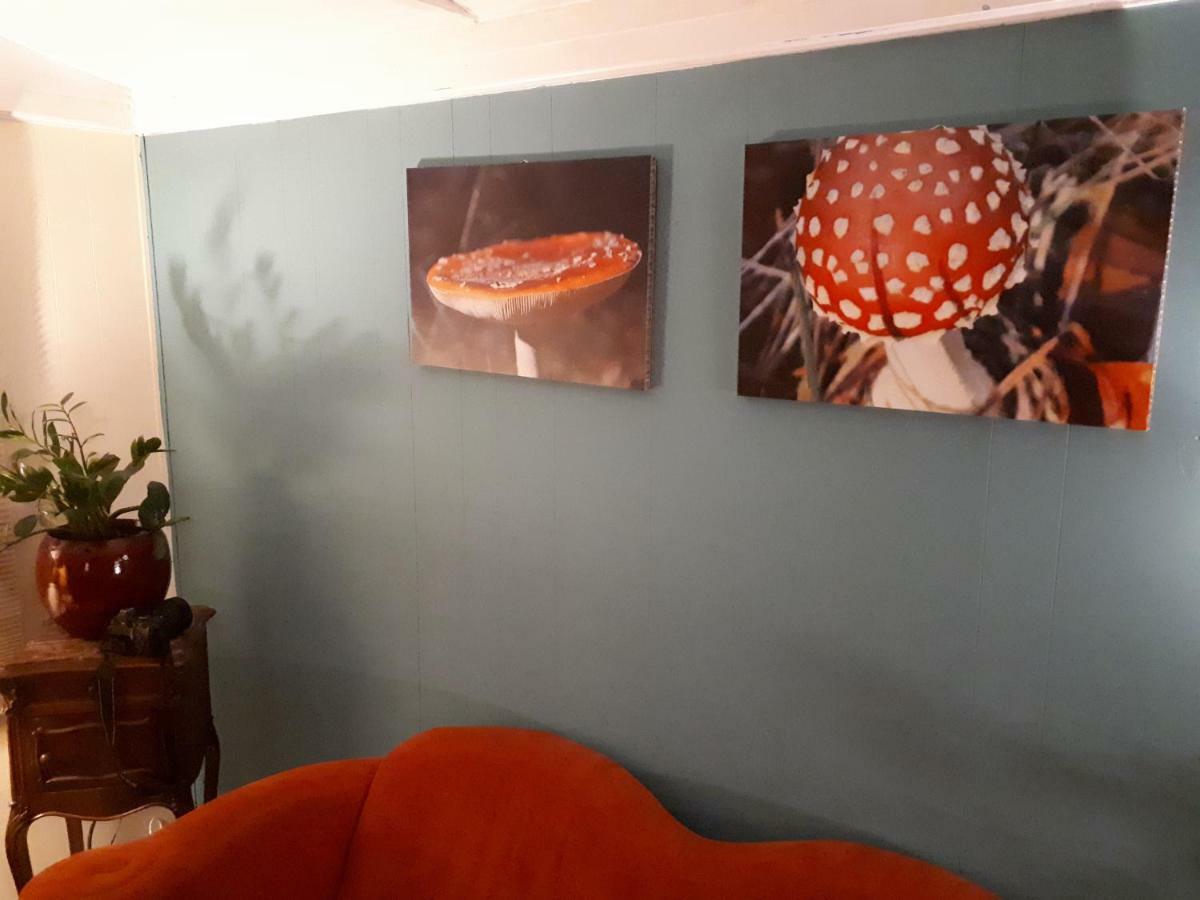 Boshuis Turquoise / smaakvol genieten op de Veluwe Hoenderloo Buitenkant foto